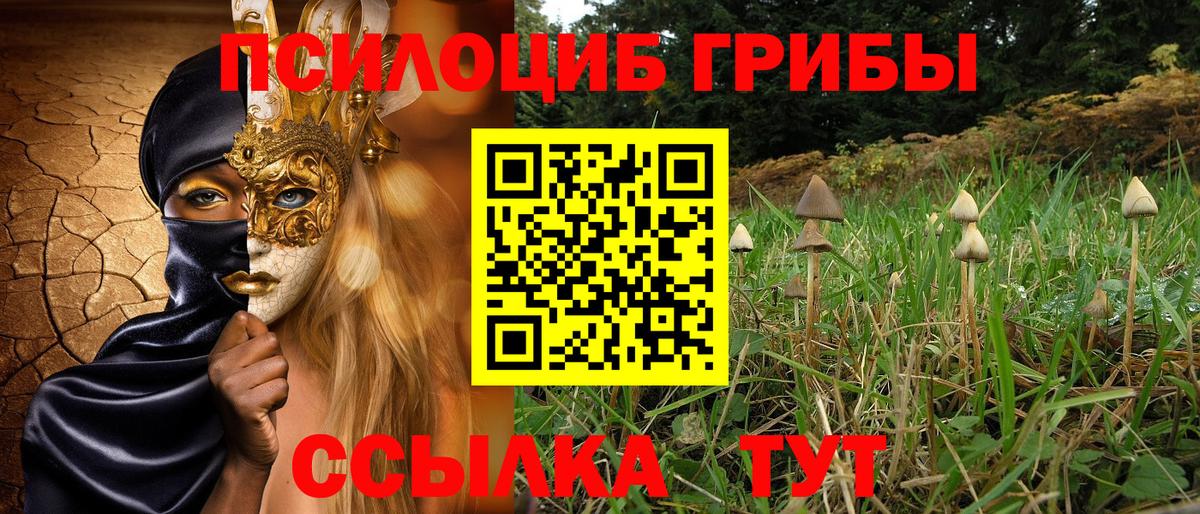 Бугуруслан  Галлюциногенные грибы мицелий  как найти   Вход с VPN 
