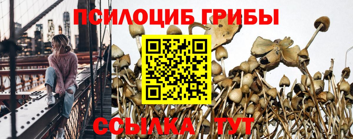 Псилоцибиновые грибы ЛСД Бугуруслан